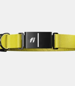 Fi Series 3+ Dog Collar
