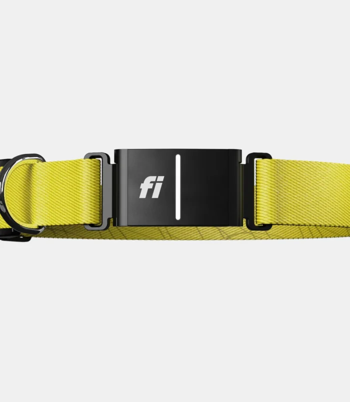 Fi Dog Collar