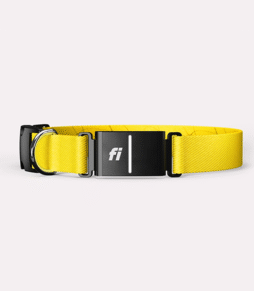 Fi Series 3+ Dog Collar