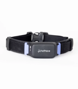 PetPace Smart Collar 2.0