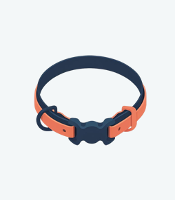 Pet Wearables
